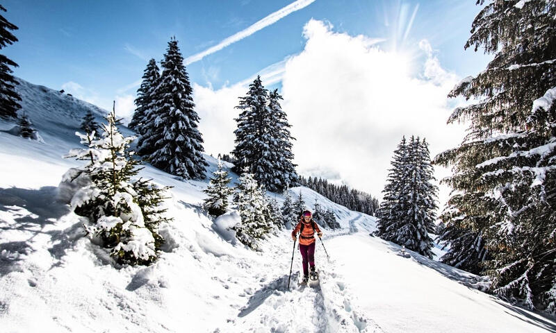 Studio à Châtel - - Châtel - SKI - 14