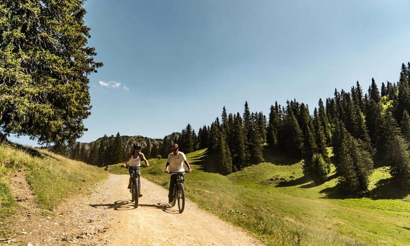 Studio à Châtel - - Châtel - SKI - 20