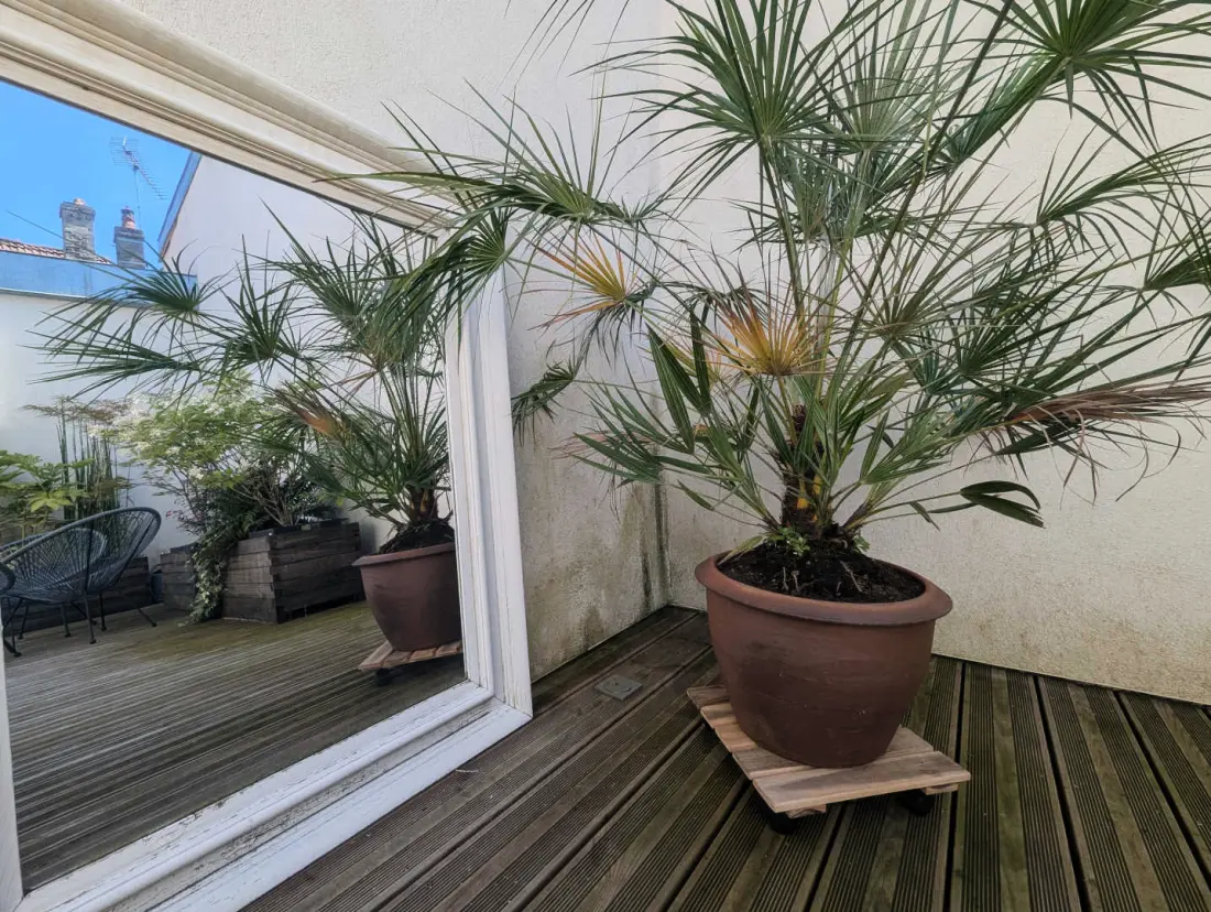 Gîte de France La maison naturospa 4 épis