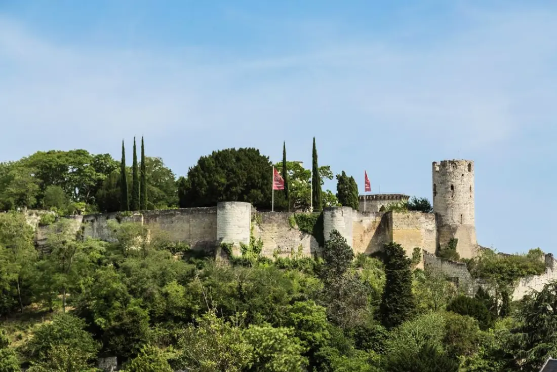 Résidence Prestige Odalys Le Clos Saint Michel