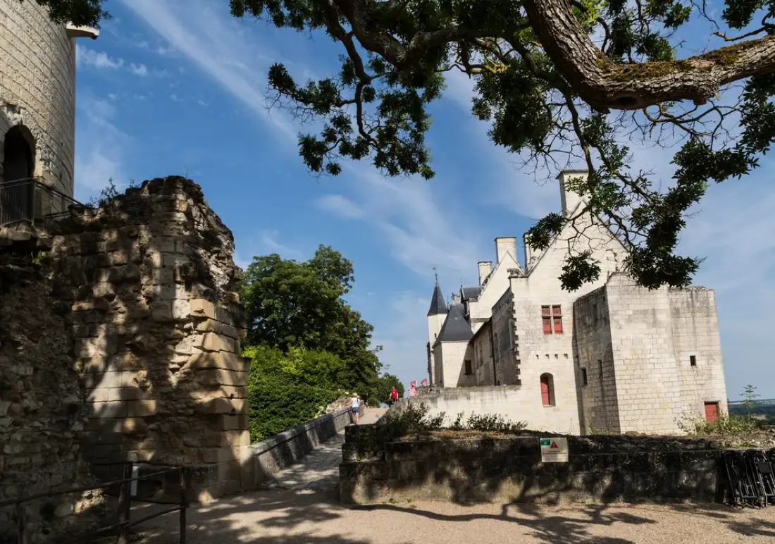 Résidence Prestige Odalys Le Clos Saint Michel