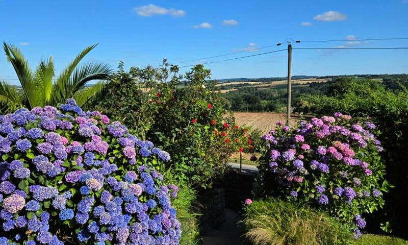 Gîte de France La scierie 3 épis - - Cleguerec - 37