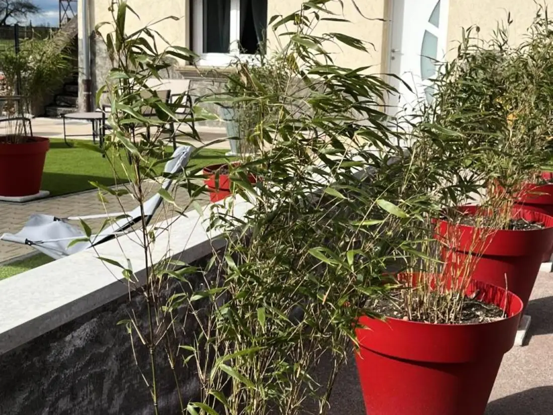 Maison de Vacances Cognat-Lyonne 3
