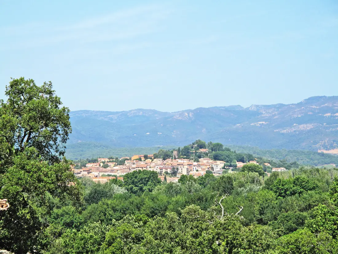 Maison de Vacances Cogolin