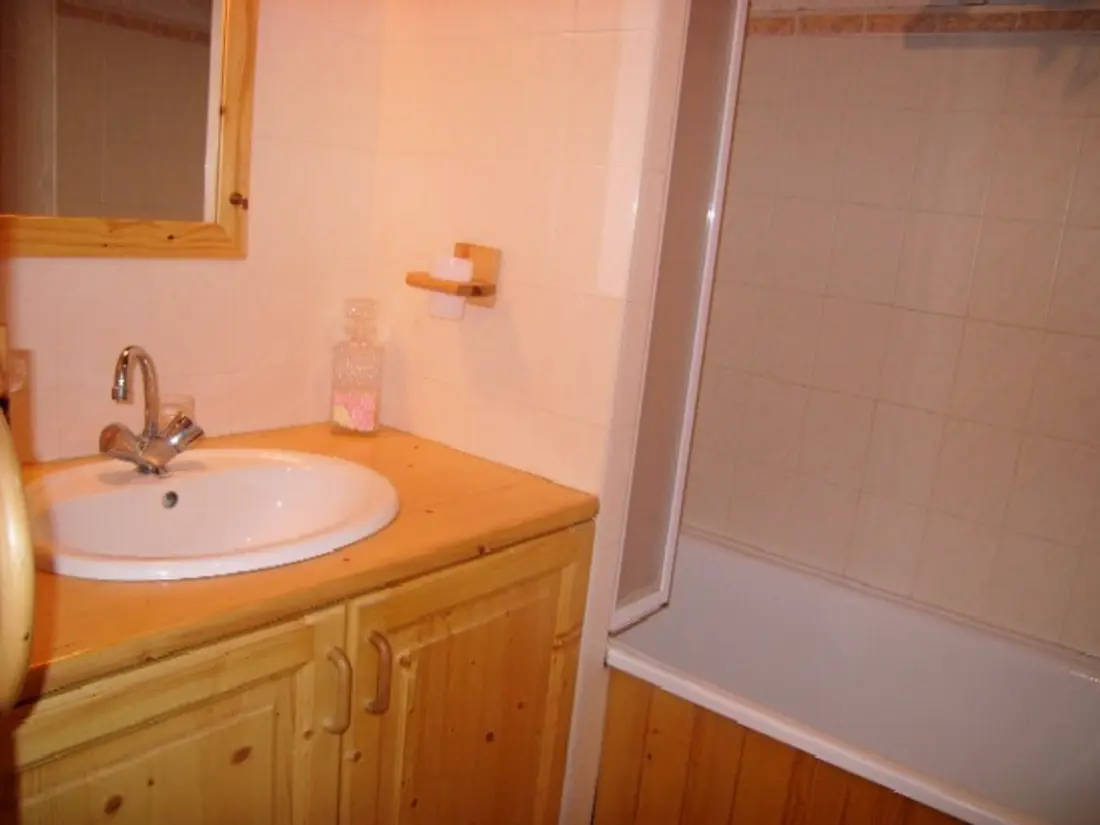 Location de Vacances Crest-Voland 113