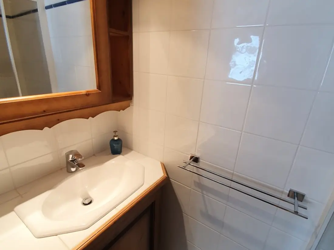 Location de Vacances Crest-Voland 129