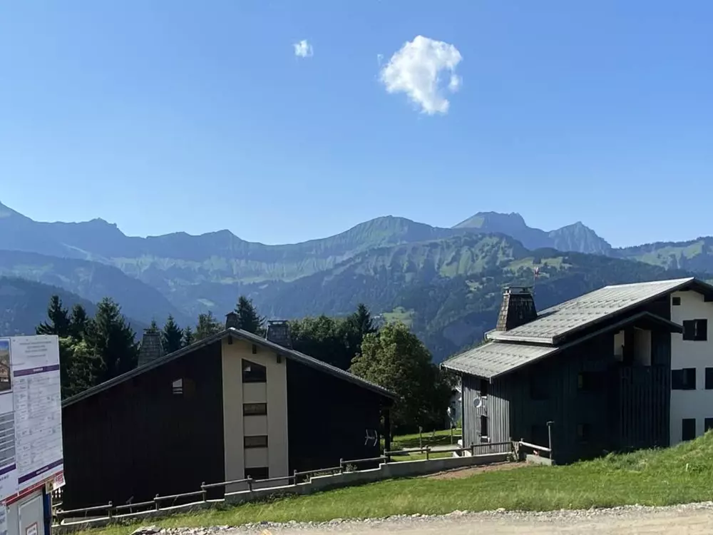 Location de Vacances Crest-Voland 155