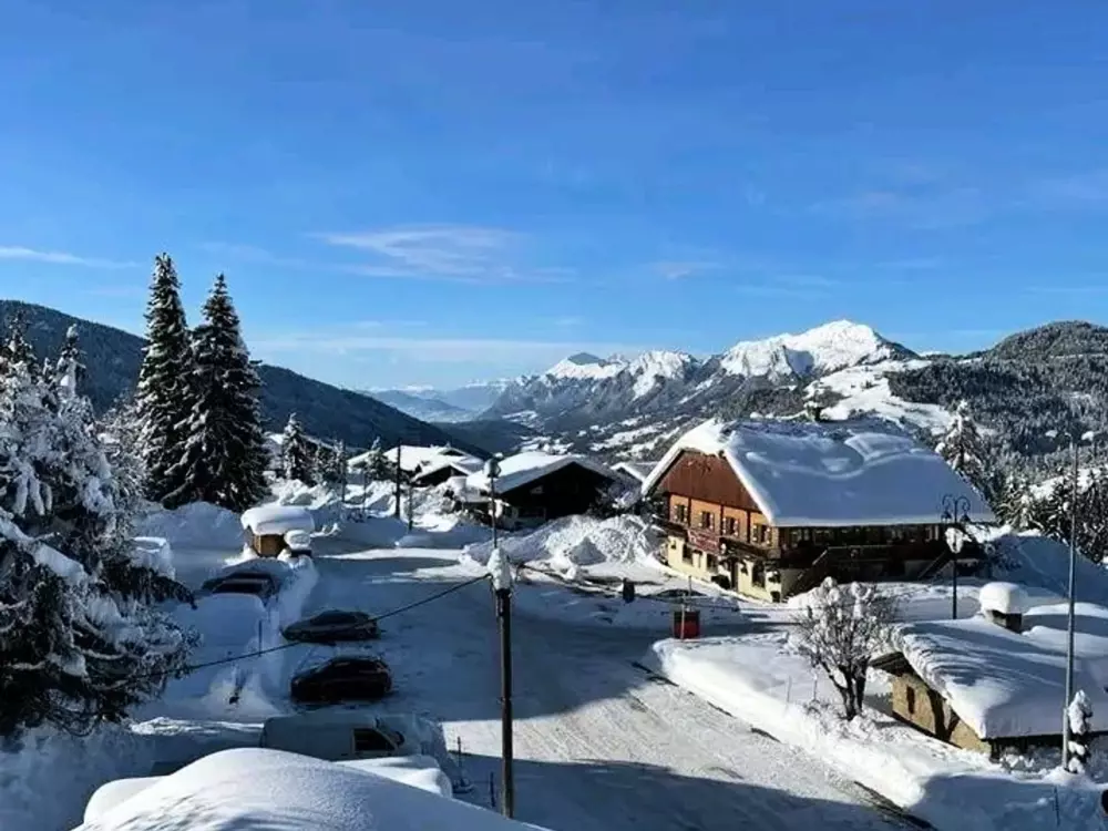 Location de Vacances Crest-Voland 155