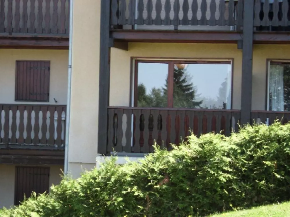 Location de Vacances Crest-Voland 173