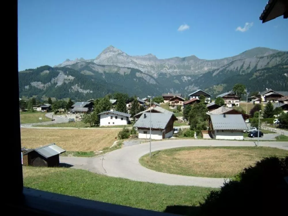 Location de Vacances Crest-Voland 173