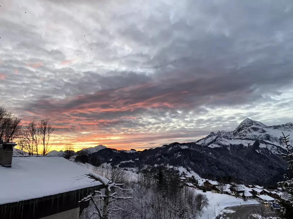 Location de Vacances Crest-Voland 173