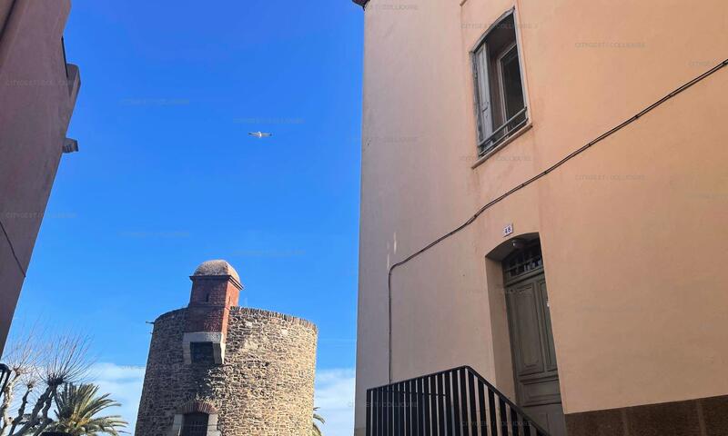 Résidence Rue De La Convention - - Collioure - 14