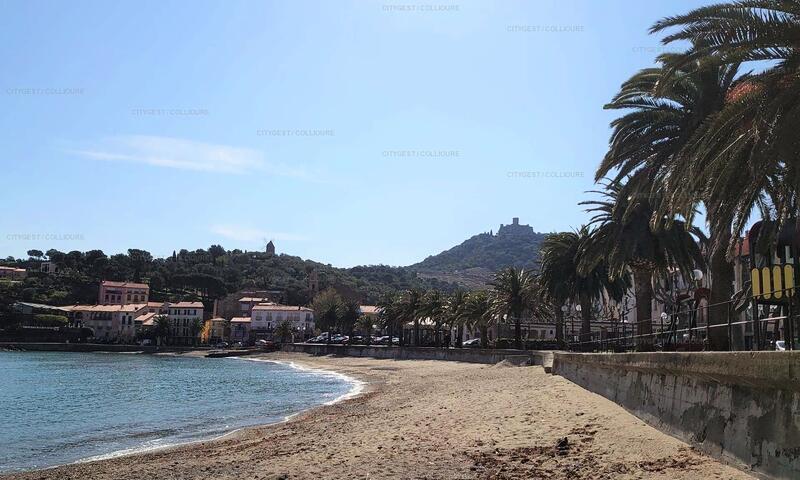 Résidence Baie Du Grand Bleu - - Collioure - 15