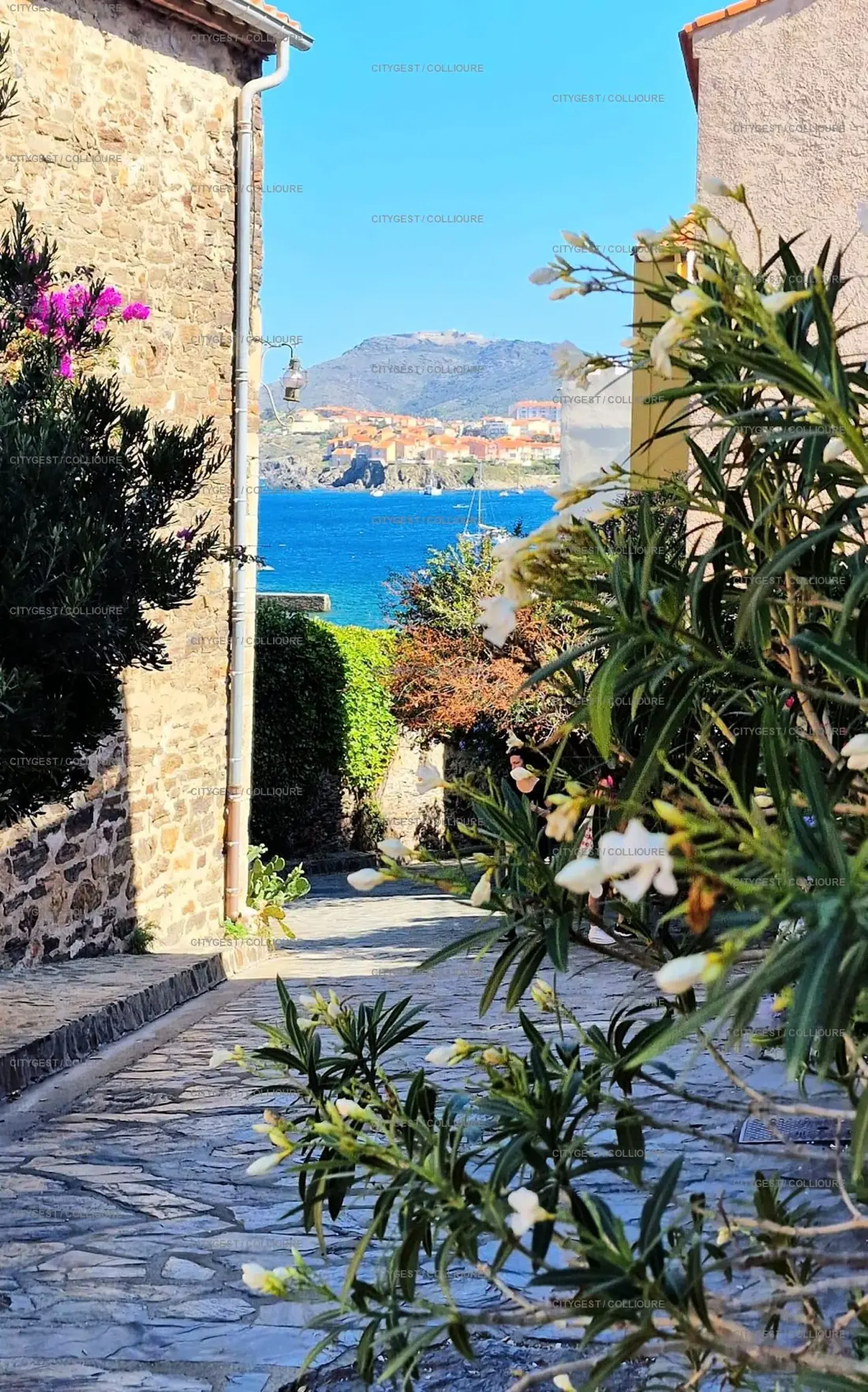 Résidence Haut De Collioure