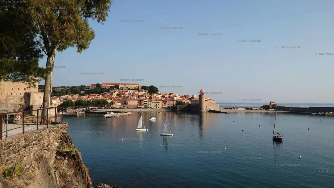 Résidence Le Port D'avall