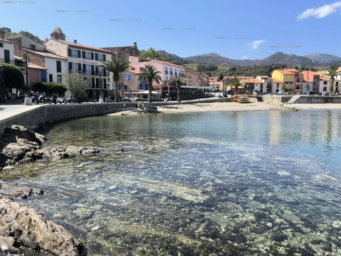 Résidence Le Port D'avall