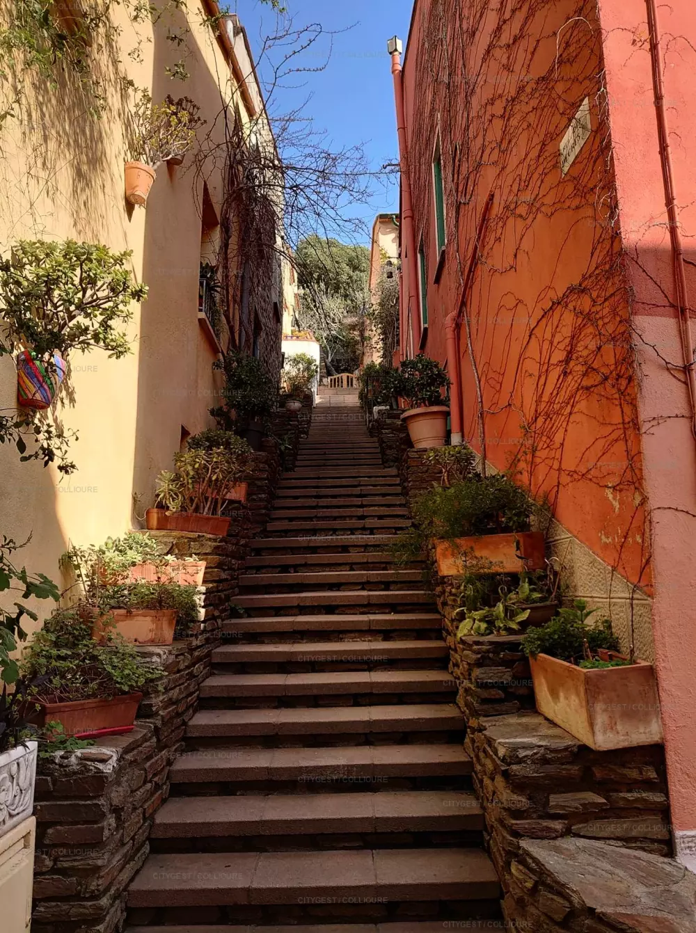 Résidence Rue Camille Desmoulins