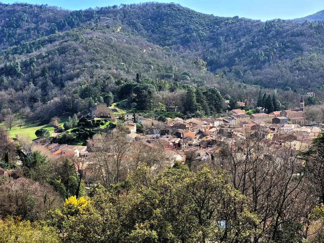 Maison de Vacances Collobrières