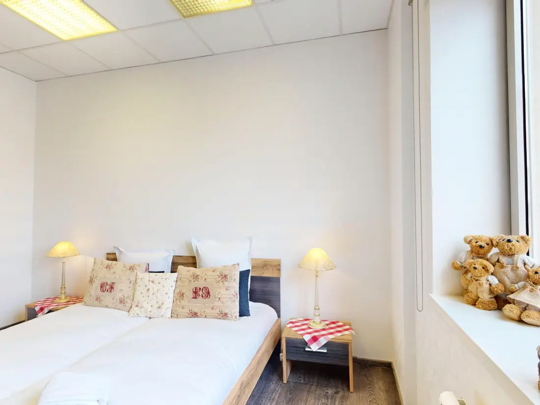 Location de Vacances Colmar 6