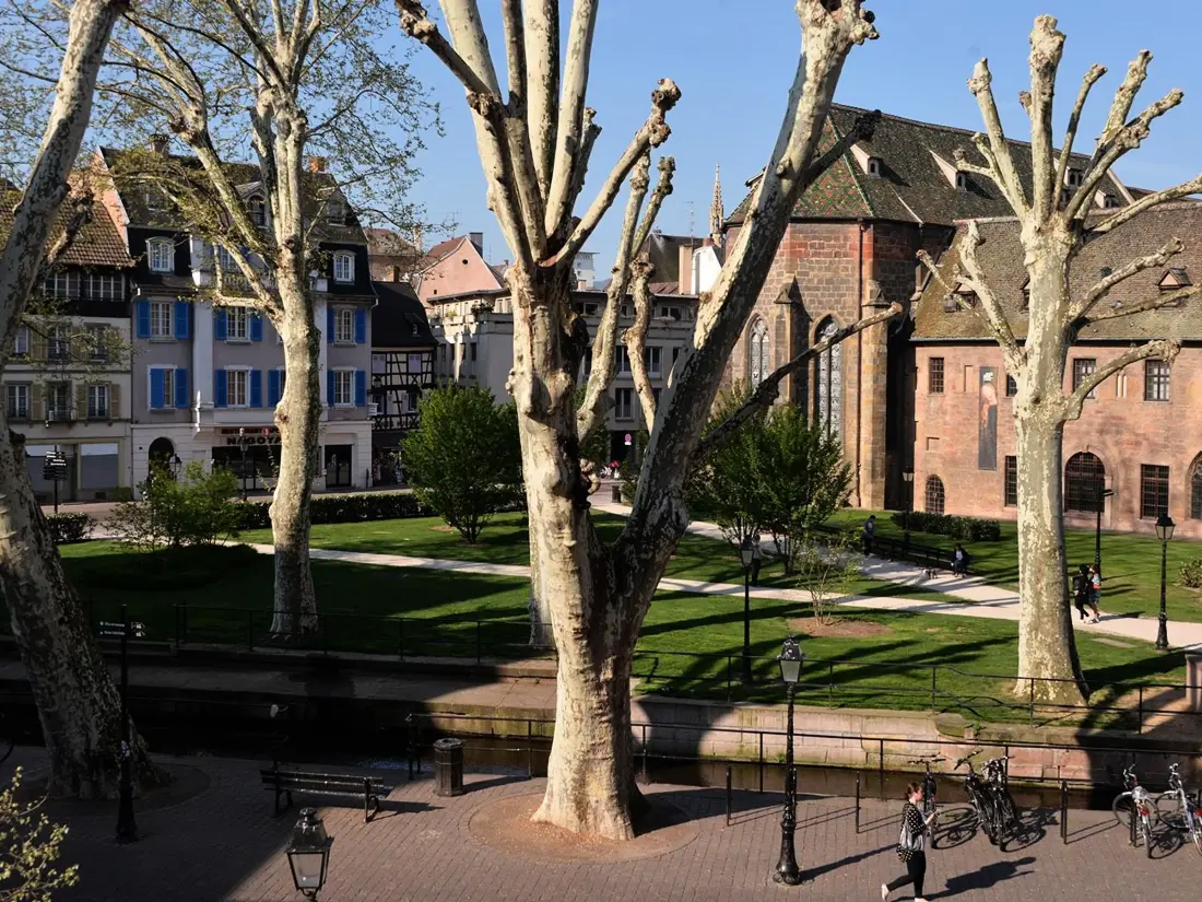 Location de Vacances Colmar 7