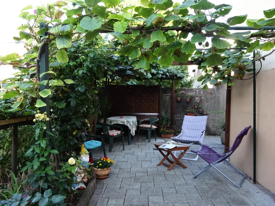 Maison de Vacances Colmar 16