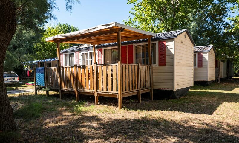 Camping Vigna sul Mar Family Camping Village - Lido di Pomposa - 5
