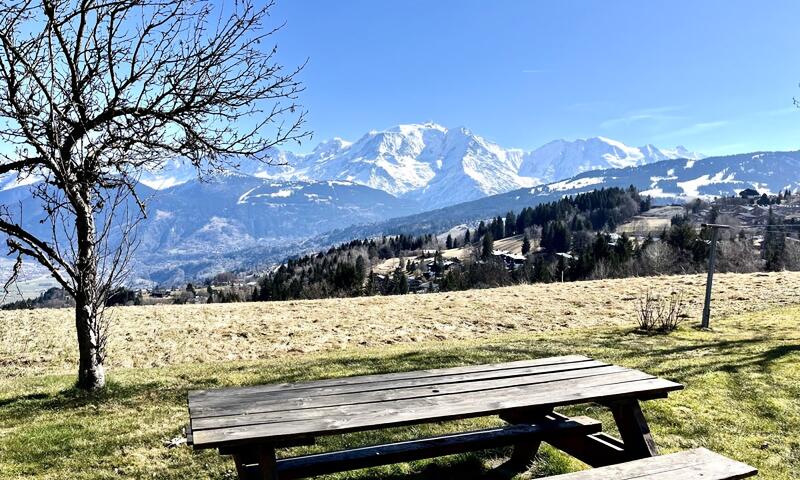 Beau T3 Avec Jardin - Vue Sur Mont Blanc - - Combloux - 19