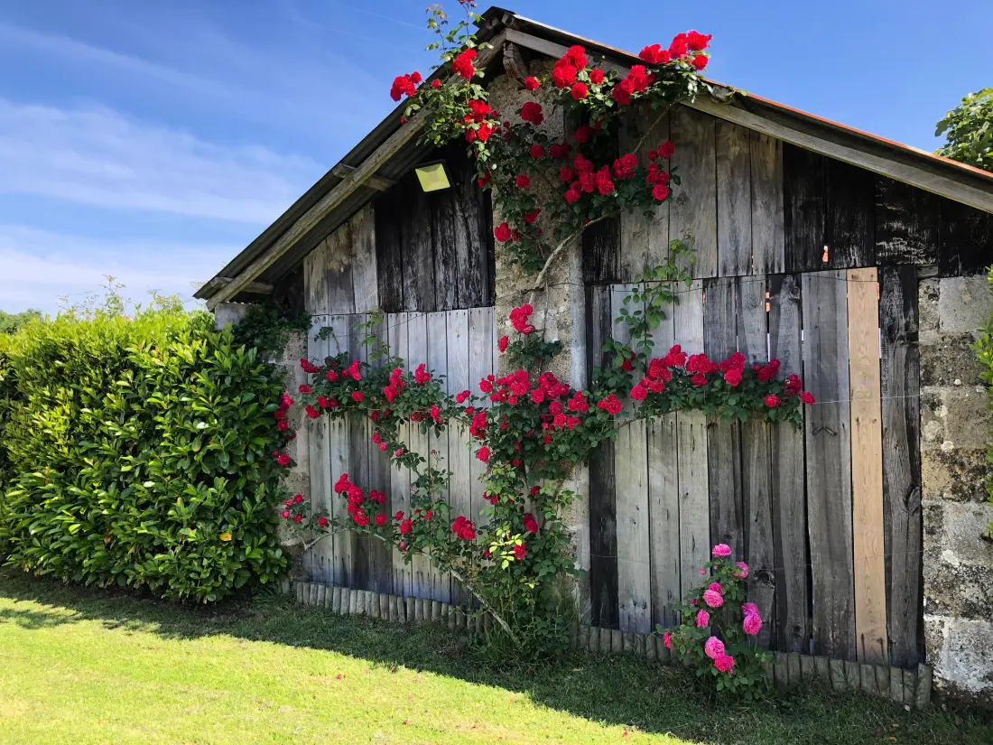 Maison de Vacances Commequiers 2
