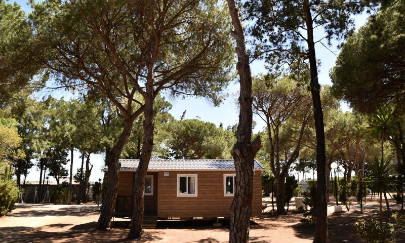 Espagne - Andalousie - Conil de la Frontera - Camping Conil