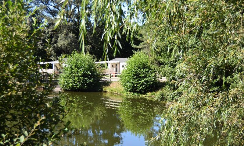 Au Bois de Calais *** - Corrèze - 5