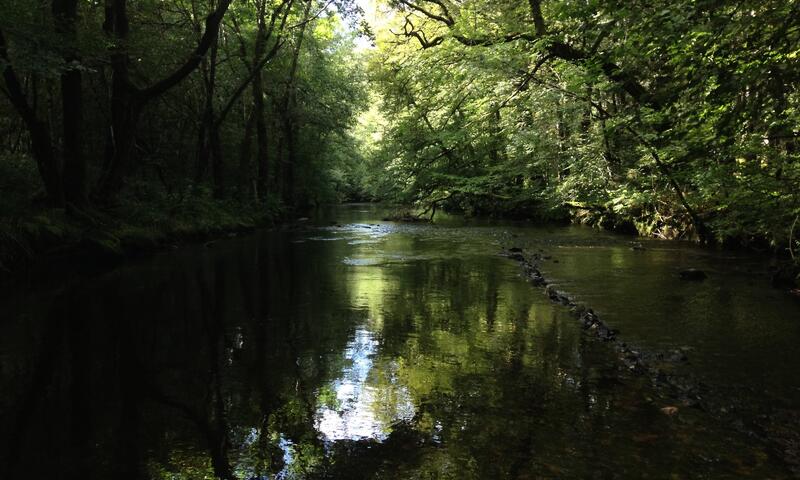 Au Bois de Calais *** - Corrèze - 8