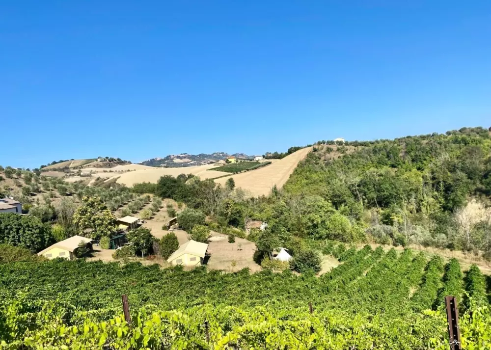 Agriturismo Angeli Sognanti