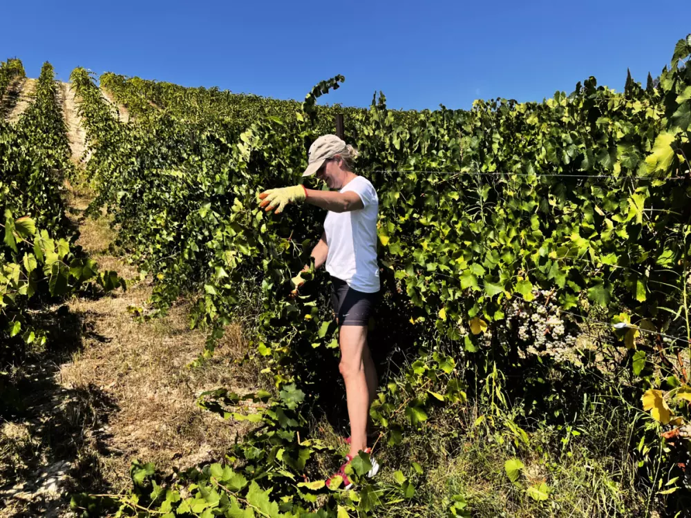 Agriturismo Angeli Sognanti