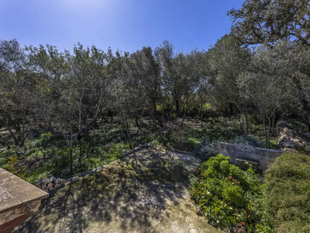 Maison de Vacances Costitx 15