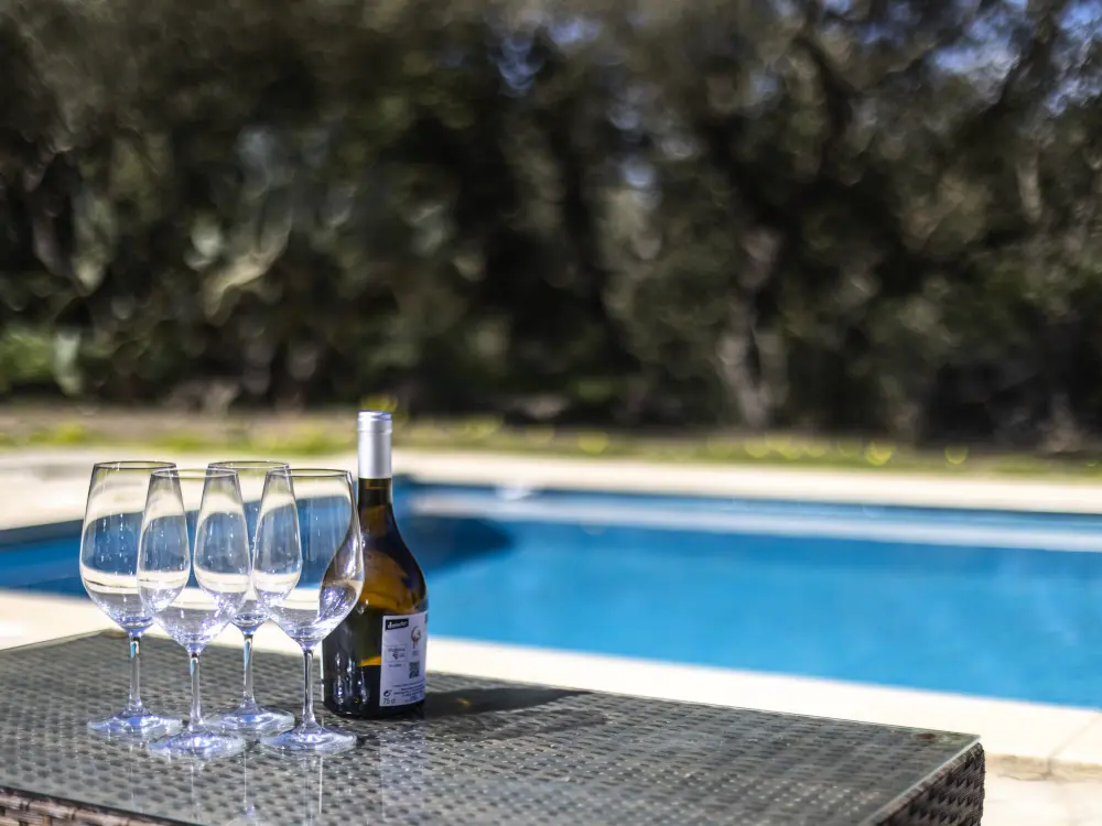 Maison de Vacances Costitx 15