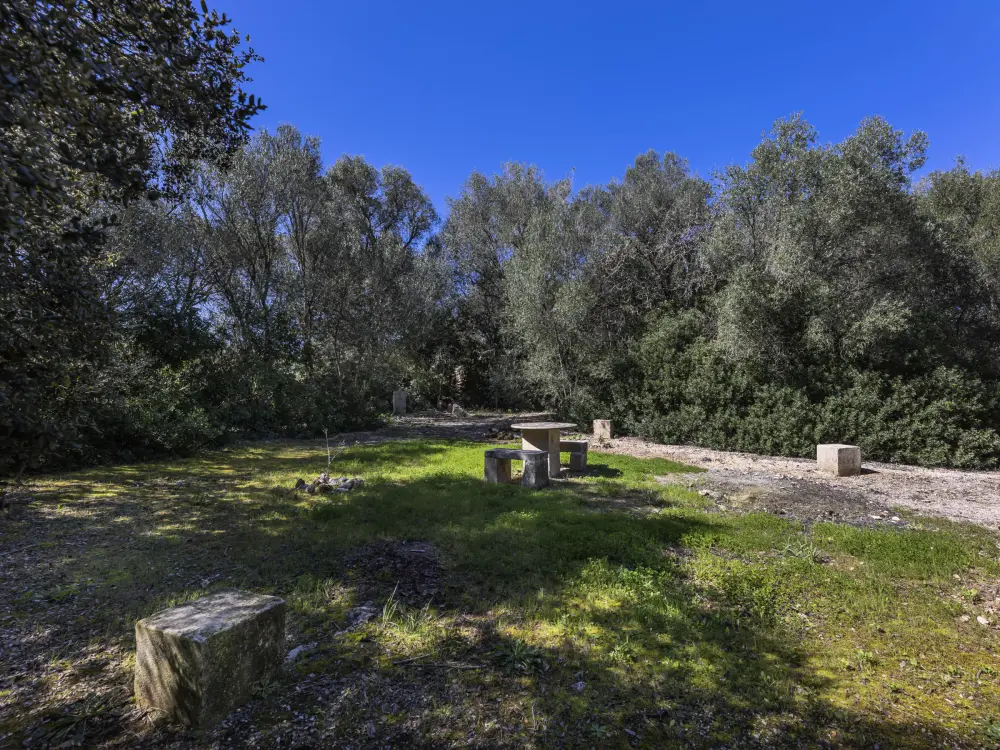 Maison de Vacances Costitx 15