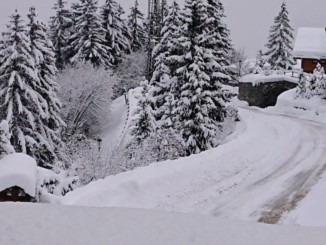 Location de Vacances Courchevel 1550 120