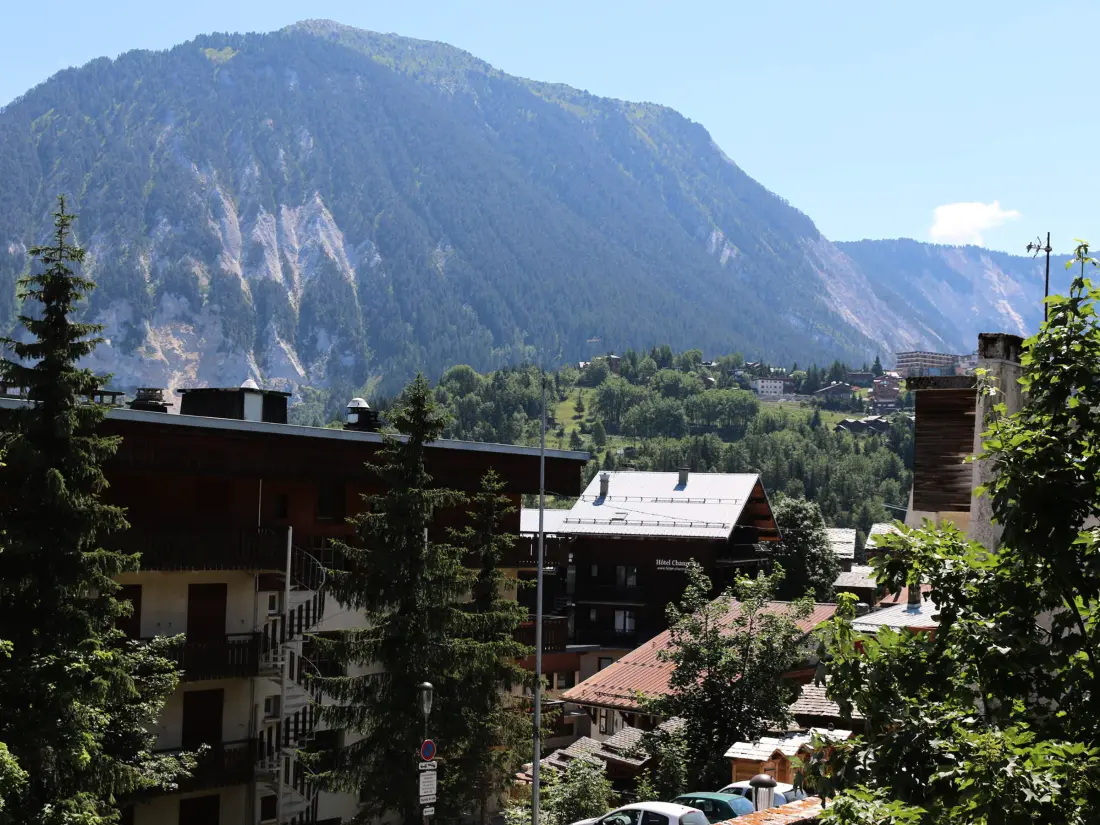 Location de Vacances Courchevel 1550 121