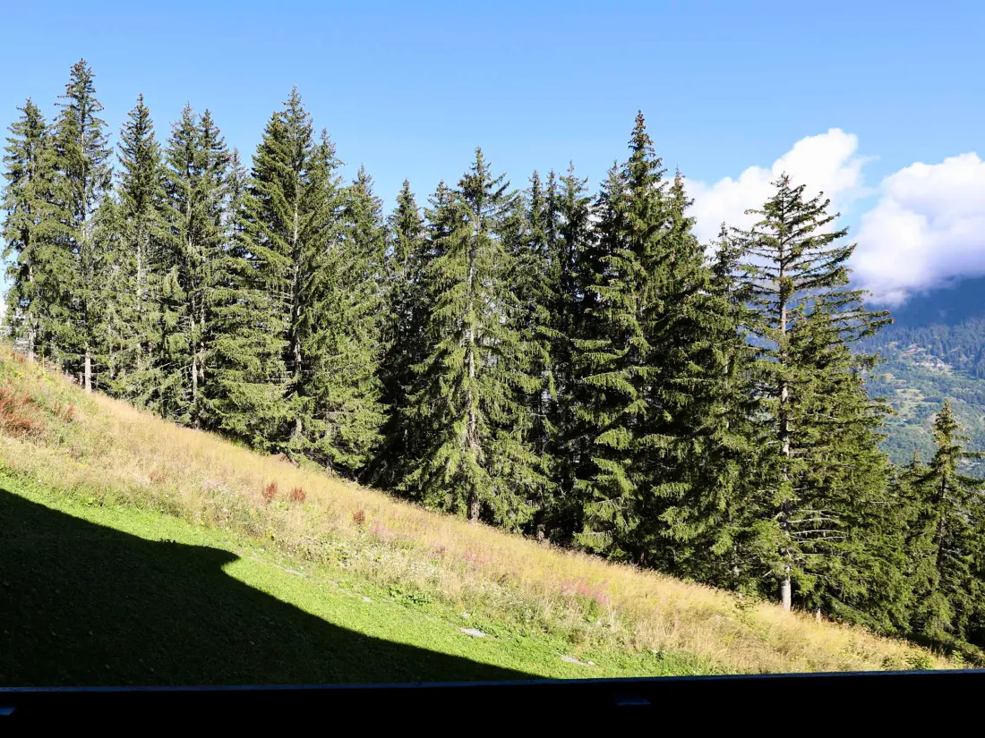 Location de Vacances Courchevel 1550 78