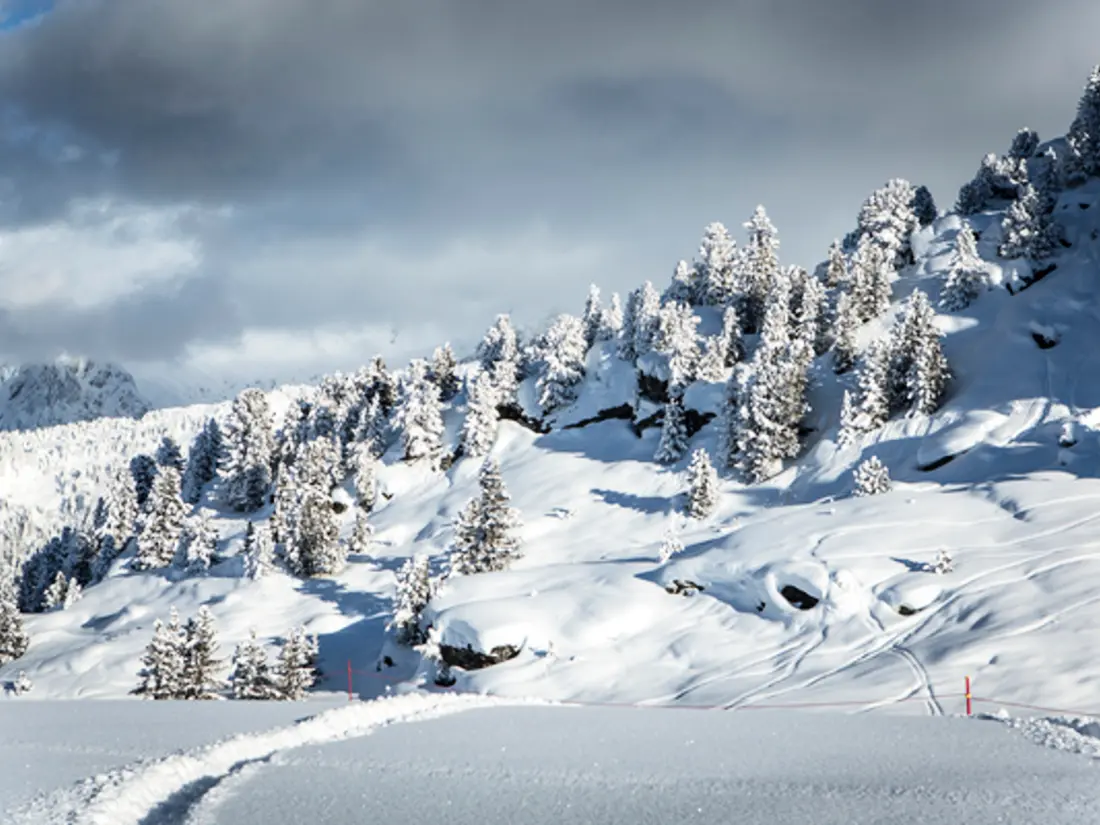 Location de Vacances Courchevel 1550 80