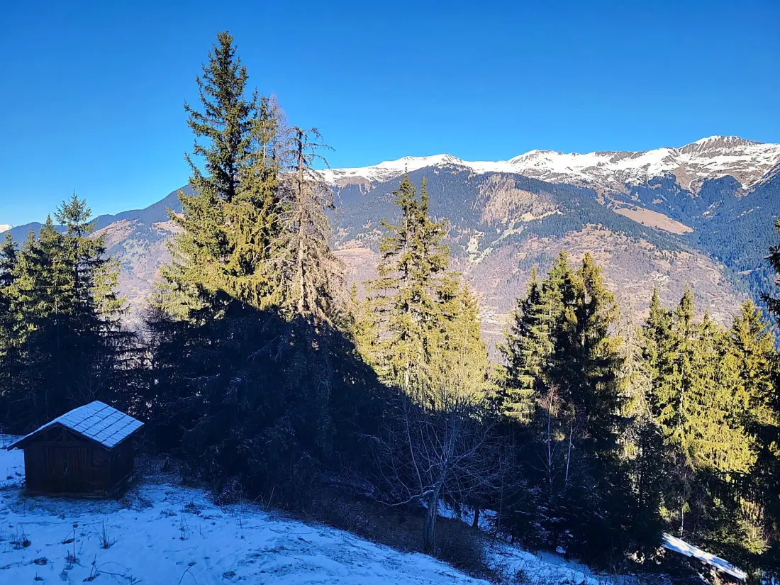 Location de Vacances Courchevel 1550 81