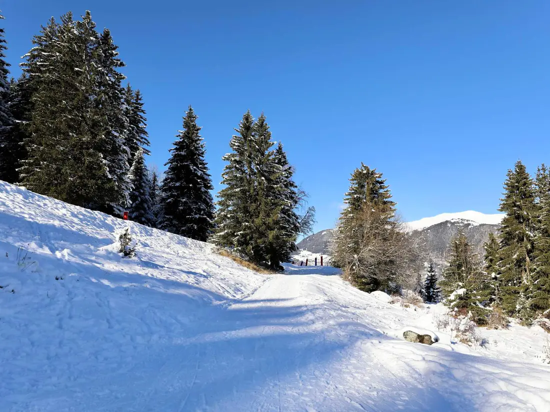 Location de Vacances Courchevel 1550 99