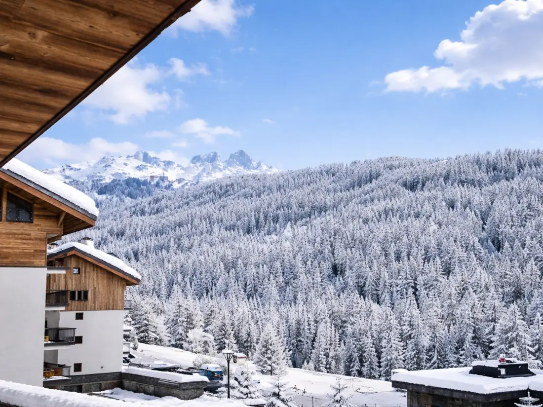 Location de Vacances Courchevel 1650 148
