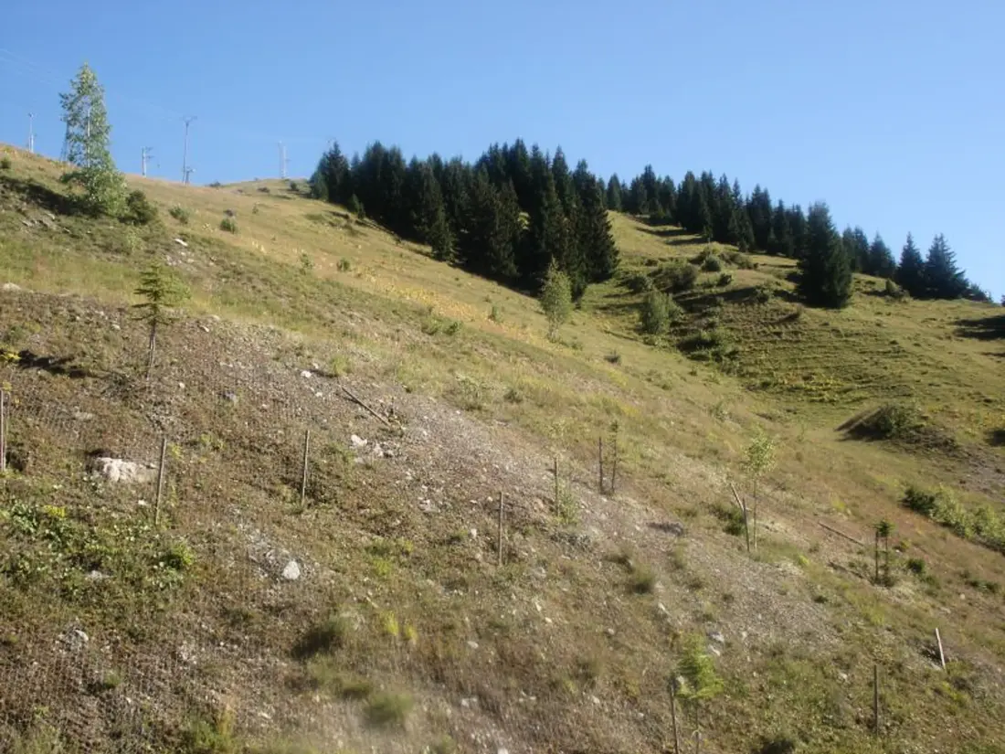 Location de Vacances Courchevel 1650 159