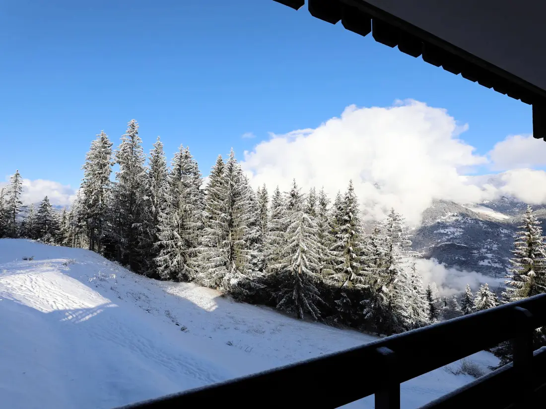 Location de Vacances Courchevel 1650 189