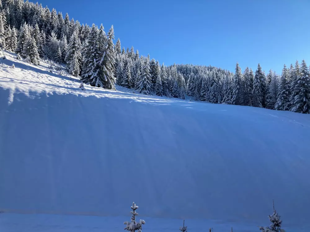 Résidence Ariondaz Hellebore