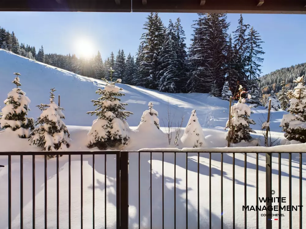 Résidence Ariondaz Hellebore