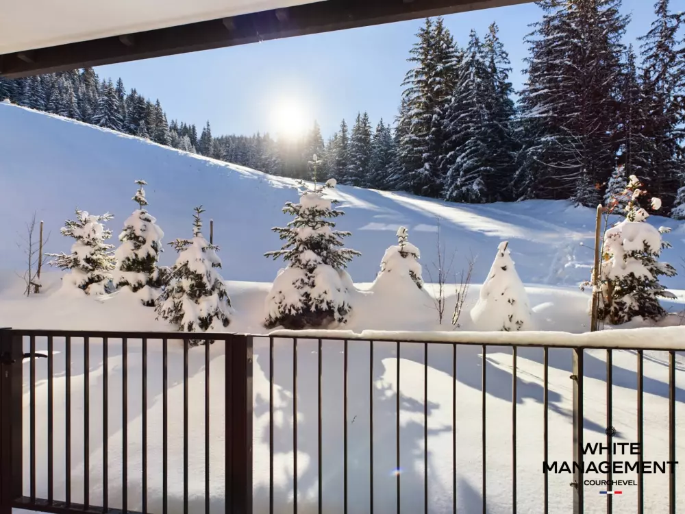 Résidence Ariondaz Hellebore