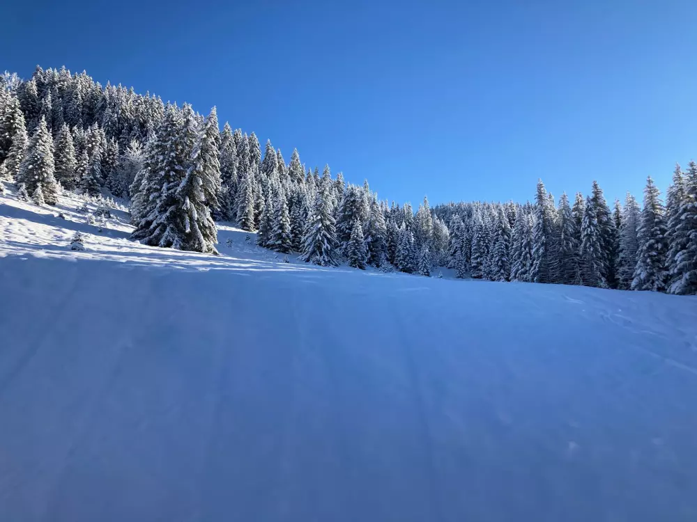 Résidence Ariondaz Hellebore