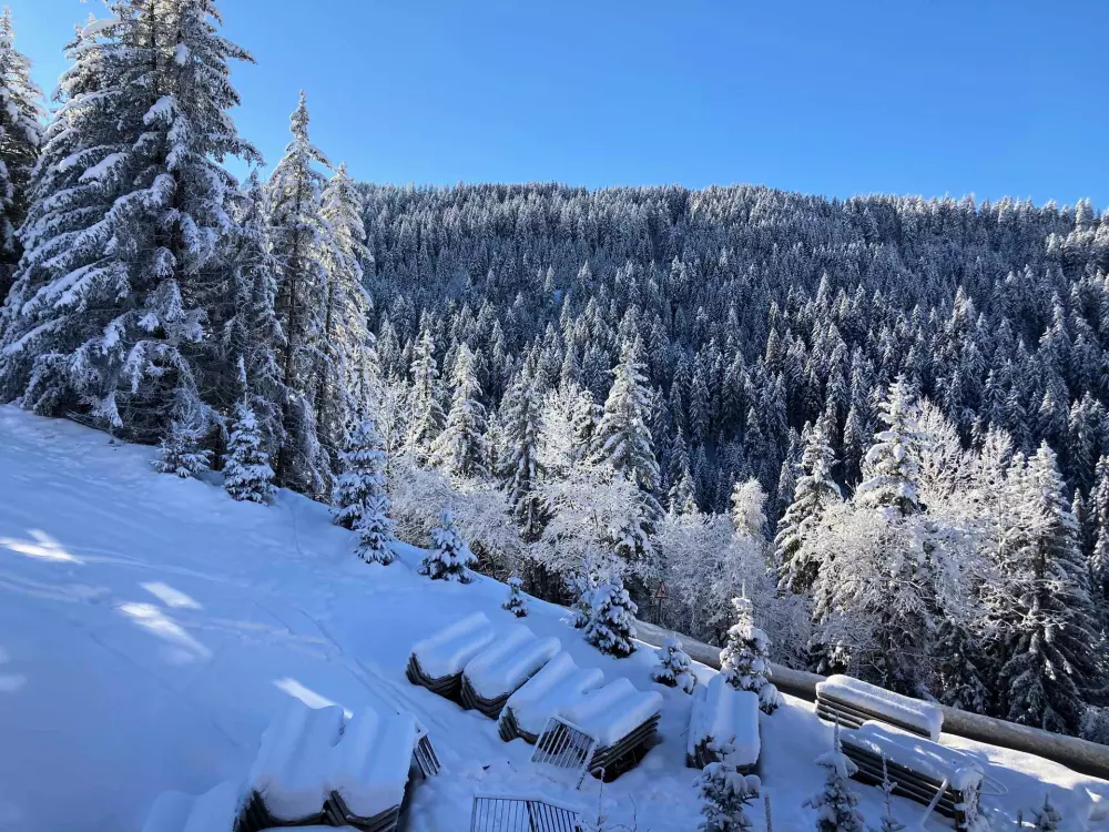 Résidence Ariondaz Hellebore